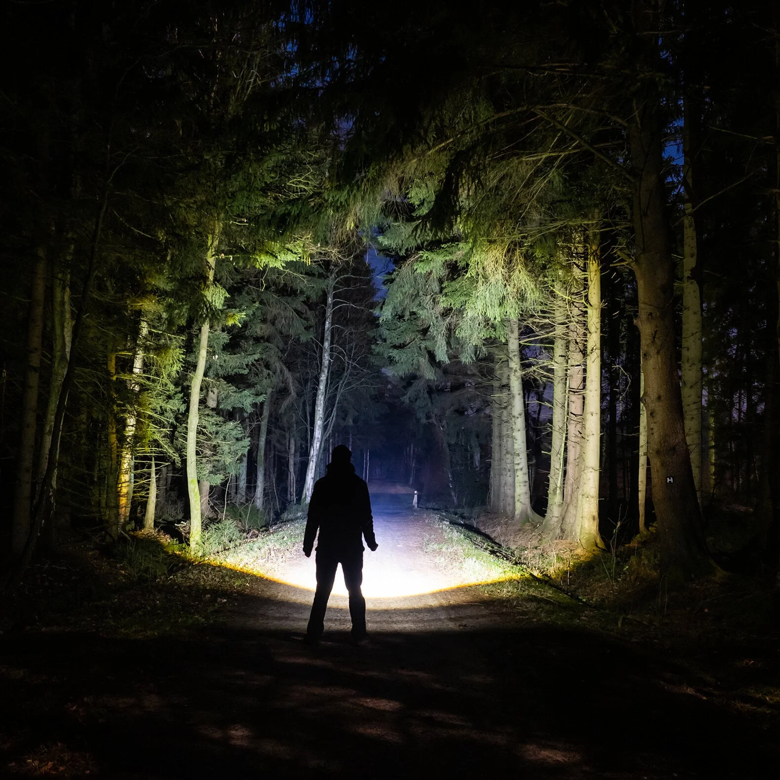 Taskulamppu P6R Core QC Edition 2021